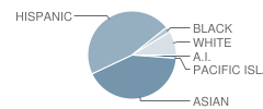 Washington Elementary School Student Race Distribution