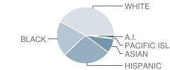 Cottage Elementary School Student Race Distribution