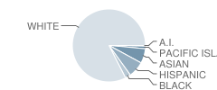 James R. Cowan Fundamental Elementary School Student Race Distribution