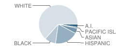 Coyle Avenue Elementary School Student Race Distribution