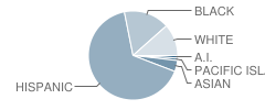 Howe Avenue Elementary School Student Race Distribution