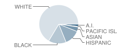 Thomas Kelly Elementary School Student Race Distribution