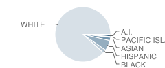 Mission Avenue Open Elementary School Student Race Distribution