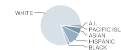 Albert Schweitzer Elementary School Student Race Distribution