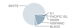 Woodside Elementary School Student Race Distribution