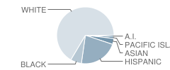 Carriage Drive Elementary School Student Race Distribution