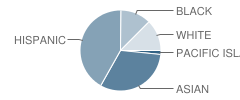 Monroe Elementary School Student Race Distribution