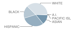 Roosevelt Elementary School Student Race Distribution