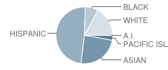 Bay Elementary School Student Race Distribution