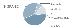 Dayton Elementary School Student Race Distribution