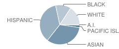 Washington Manor Middle School Student Race Distribution