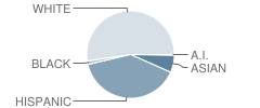 Smith (C. L.) Elementary School Student Race Distribution