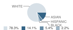 Teach Elementary School Student Race Distribution