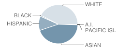 Valentine Elementary School Student Race Distribution