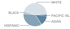 Laurel Elementary School Student Race Distribution