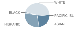 Meadow Heights Elementary School Student Race Distribution