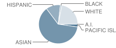 Mills High School Student Race Distribution