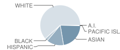 California High School Student Race Distribution