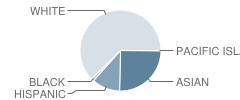 Neil A. Armstrong Elementary School Student Race Distribution