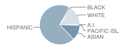 Sanger High School Student Race Distribution