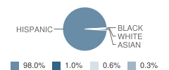 Fremont Elementary School Student Race Distribution