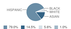 Greenville Fundamental School Student Race Distribution