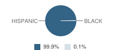 Theodore Roosevelt Elementary School Student Race Distribution