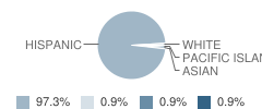 Washington Elementary School Student Race Distribution