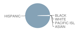 Willard Intermediate School Student Race Distribution