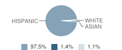 Frederick Remington Elementary School Student Race Distribution