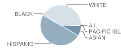 Goleta Valley Junior High School Student Race Distribution