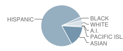 Scott Lane Elementary School Student Race Distribution