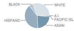 Buchser Middle School Student Race Distribution