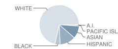 Roosevelt Elementary School Student Race Distribution