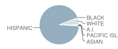 Santa Paula High School Student Race Distribution