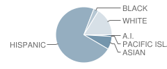 Elsie Allen High School Student Race Distribution