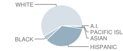 Pepper Drive Elementary School Student Race Distribution