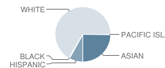 Saratoga Elementary School Student Race Distribution