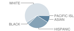 Santa Clarita Elementary School Student Race Distribution