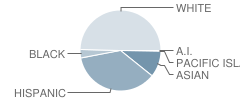 Skyblue Mesa Elementary School Student Race Distribution