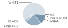 Plum Canyon Elementary School Student Race Distribution