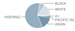 Holder Elementary School Student Race Distribution