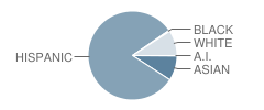 Andrew Jackson Elementary School Student Race Distribution