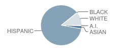 Theodore Roosevelt Elementary School Student Race Distribution