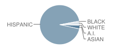 George Washington Elementary School Student Race Distribution