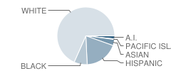 Gateway Elementary School Student Race Distribution