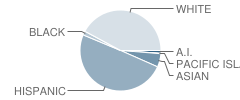 Soquel Elementary School Student Race Distribution