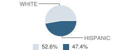 Soulsbyville Elementary School Student Race Distribution