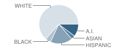 South Bay Elementary School Student Race Distribution