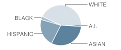 Arroyo Vista Elementary School Student Race Distribution